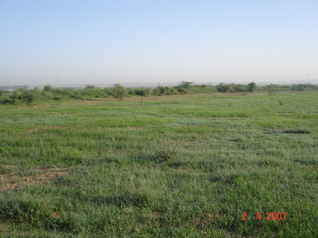 Looking north from confluence