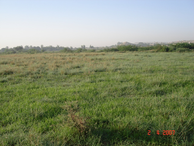 Looking south from confluence