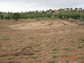 #3: Looking south from confluence point