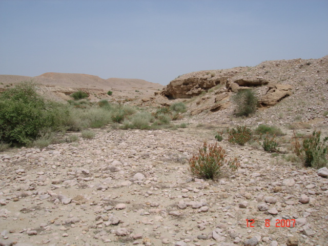 Looking north from confluence point