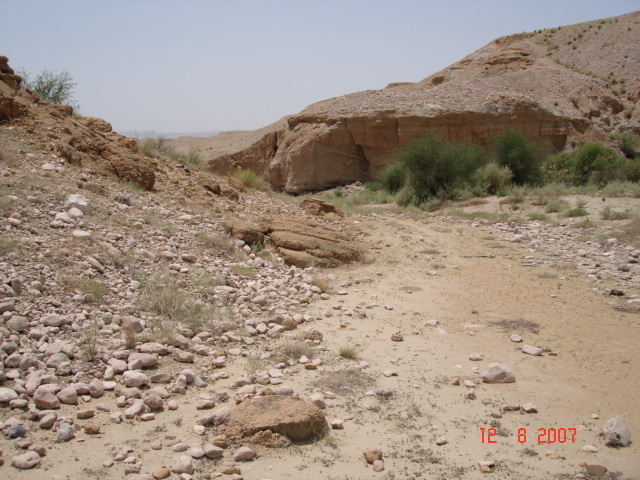 Looking south from confluence point