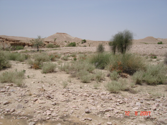 Looking west from confluence point