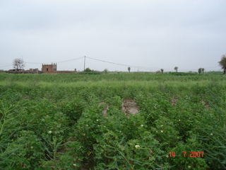 #1: Looking north from confluence point