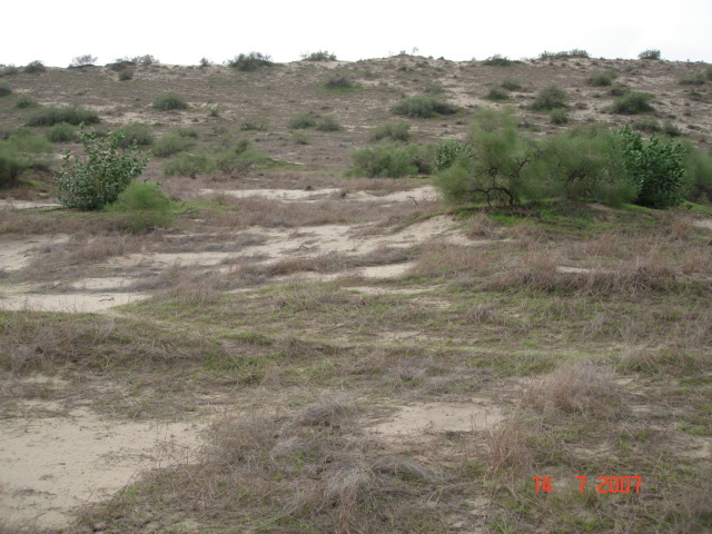 Looking west from confluence point