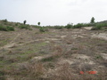 #3: Looking south from confluence point