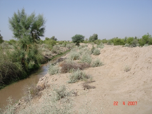 Looking west from confluence point