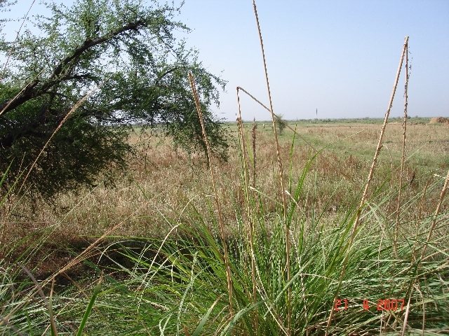 Looking south from confluence point