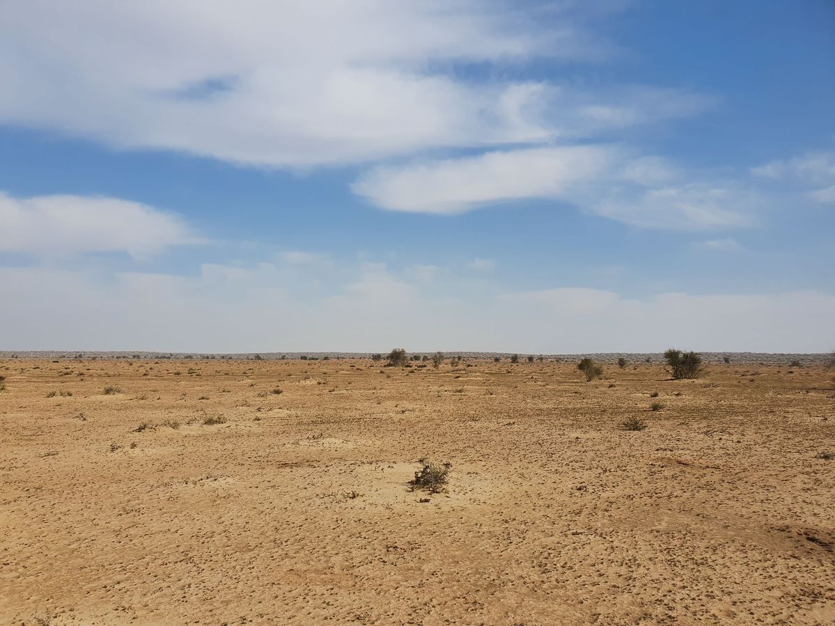 General view of confluence area