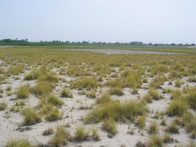 The Confluence - View to the South