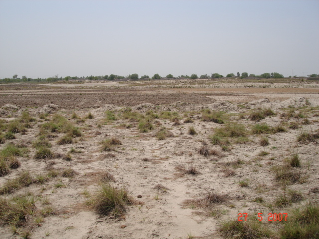 Looking west from confluence point