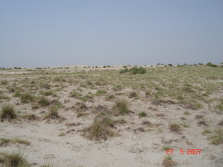 #1: Looking north from confluence point