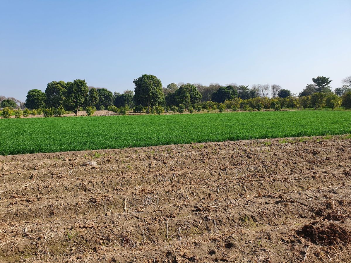 General view of confluence area