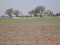 #4: Looking west from confluence point