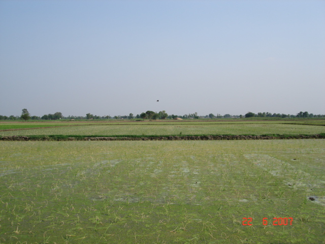 Looking south from confluence point