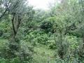 #3: East View