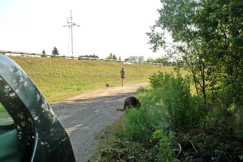 Dirt road near motorway, 100 m from CP / Грунтовка вдоль автомагистрали в 100 м от конфлюенции