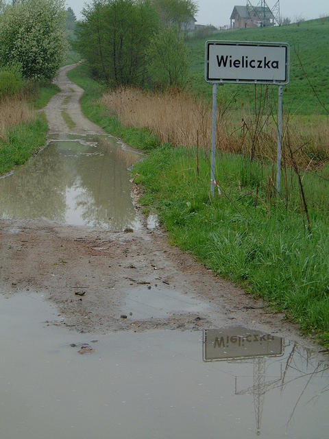 The dirt track leading to the confluence of N50 E020 close to the salt mines at Wieliczka in Poland.