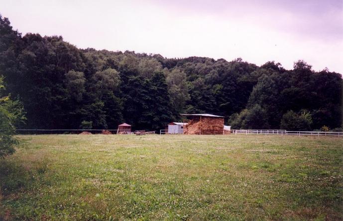 Nearby paddock (view towards SW)