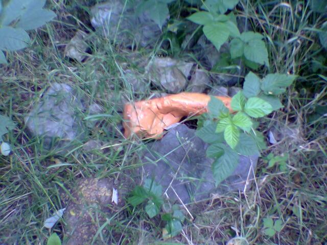 Orange stone marking the confluence point