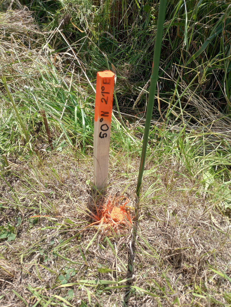 Point 50x21 - view to survey marker