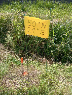 #3: Point 50x21 - view to sign