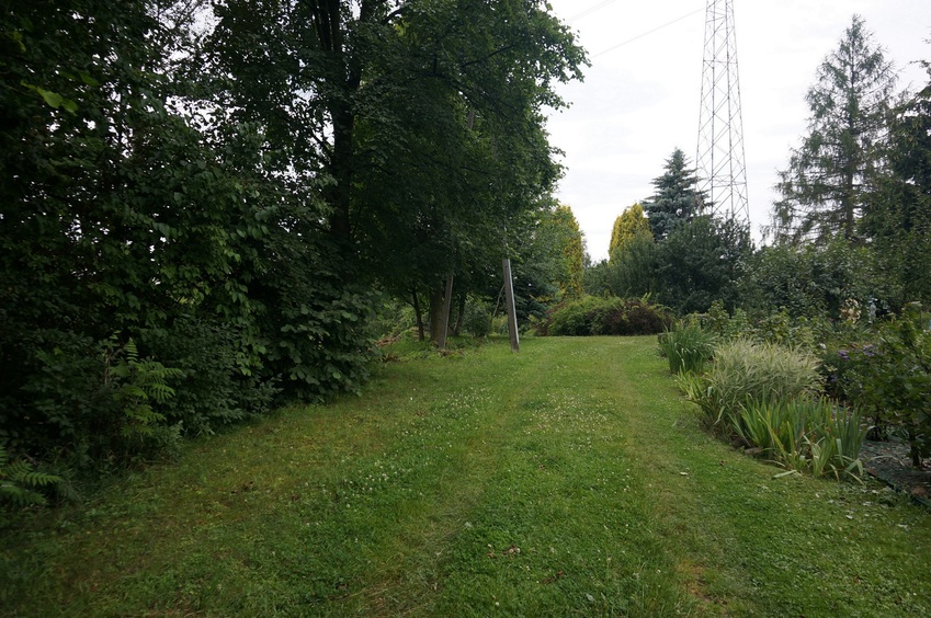 View of the confluence from about 15m E