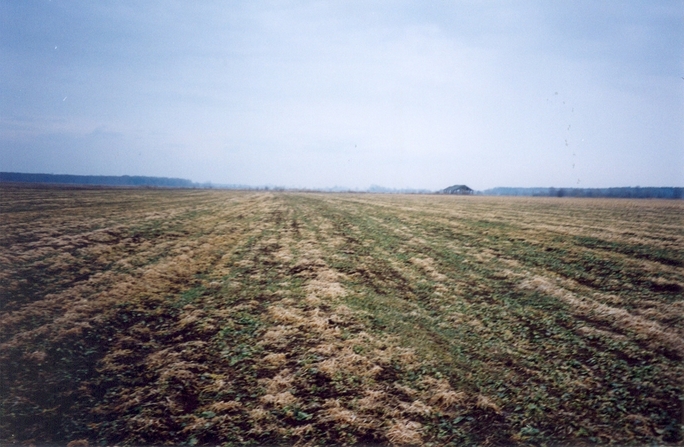 View towards E from the confluence