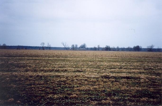 View towards S from the confluence