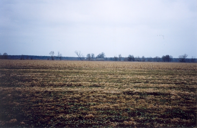 View towards S from the confluence