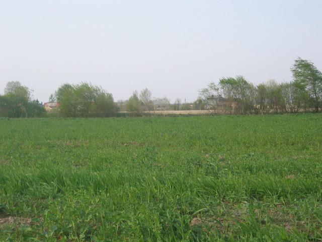 The Confluence - View to the North