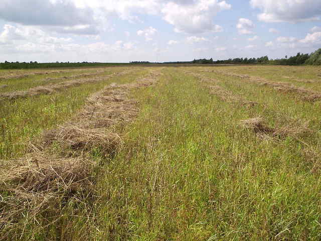 Widok z CP w kierunku W./view W