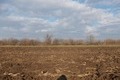 Visit #5: [18-Nov-12]