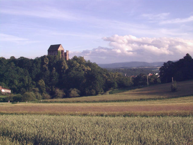 Swiny castle - zamek w Swinach
