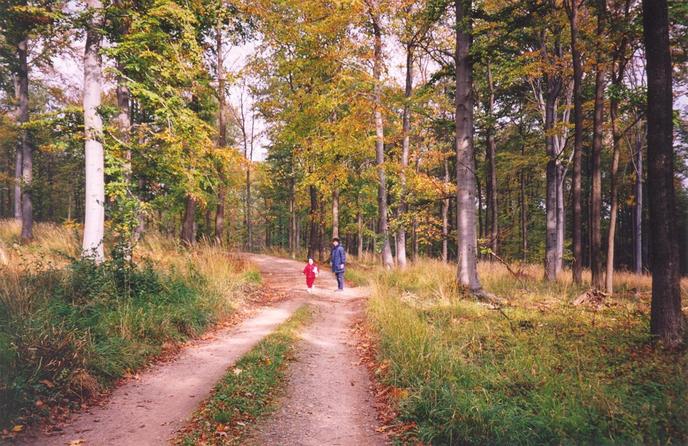 View towards E from the nearby road