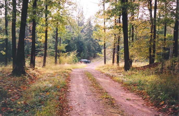 View towards W from the nearby road