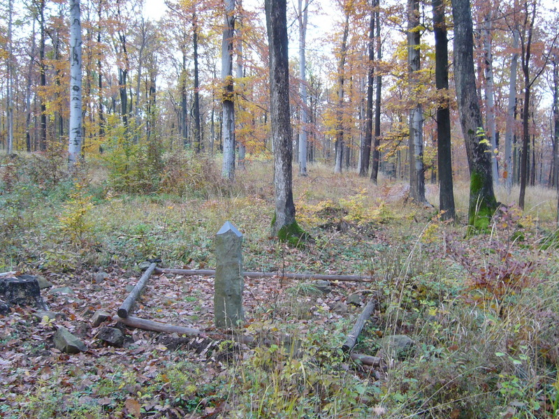 General view - Widok ogólny