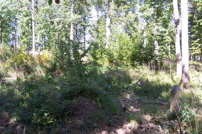 General view of the confluence (towards E)