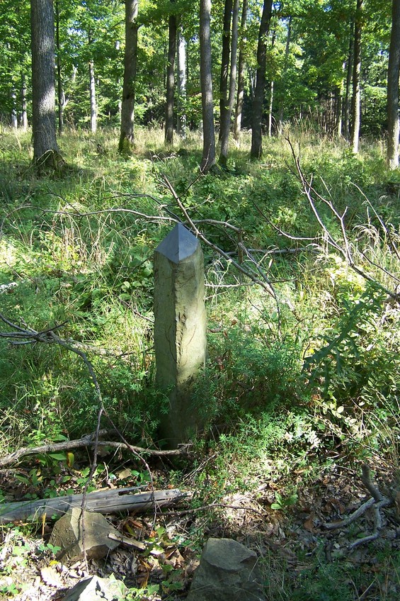 Confluence marker 