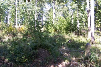 #1: General view of the confluence (towards E)