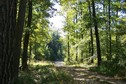 #4: View towards NW from the nearby road