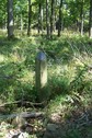 #8: Confluence marker 