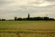 #3: South view