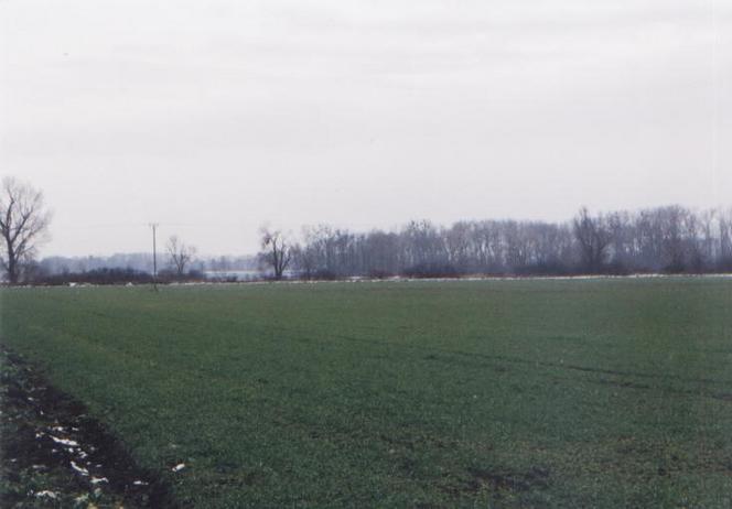 South view