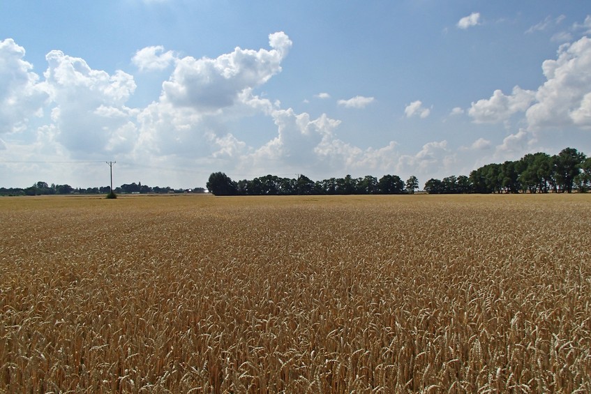 View to the west / Вид на запад