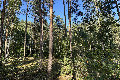 51°N 18°E preview image