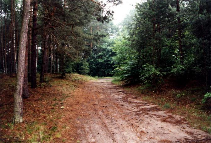 General view / CP 3m to the left of road