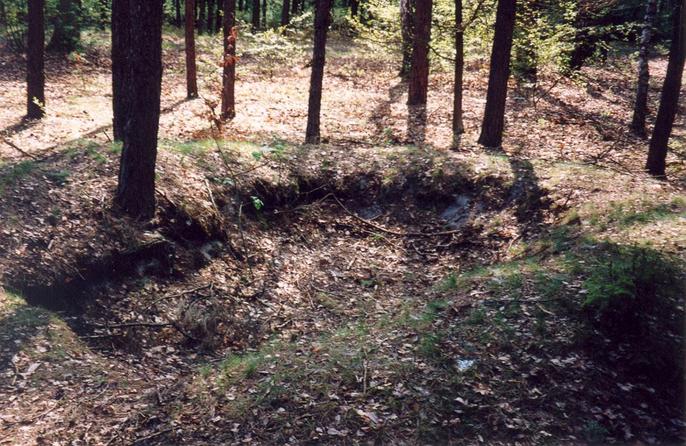 General view of the confluence (towards SW)