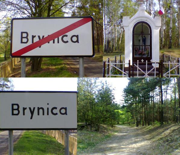 Small chappel in Brynica village and a forest road leading to the confluence