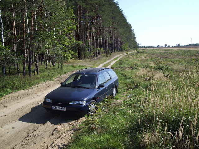 Przygodny "parking" po wschodniej stronie szosy.