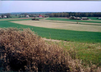 #1: View towards Kajetanow, with hills and forrest behind
